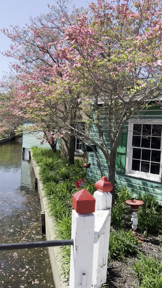 Nelis' Dutch Village