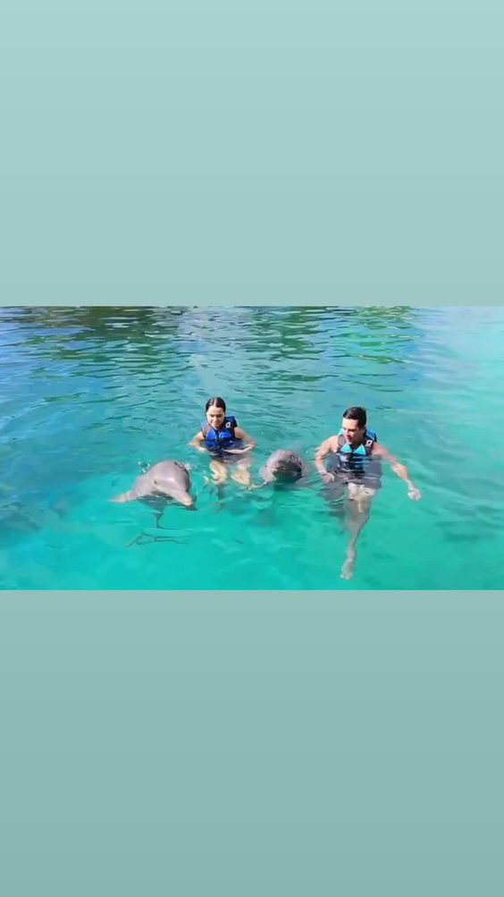 Laguna island