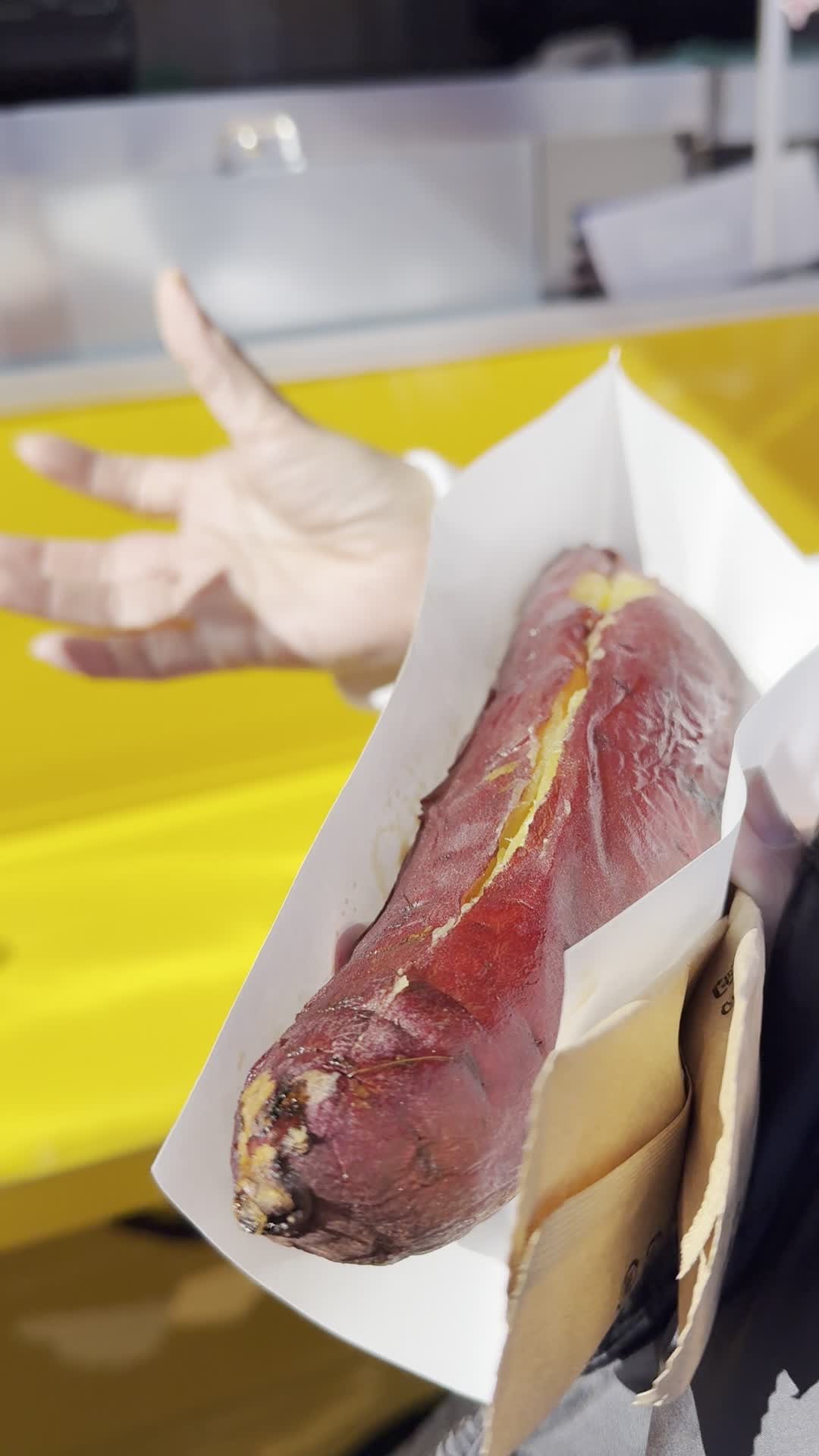 Mt. Rokko (六甲山)