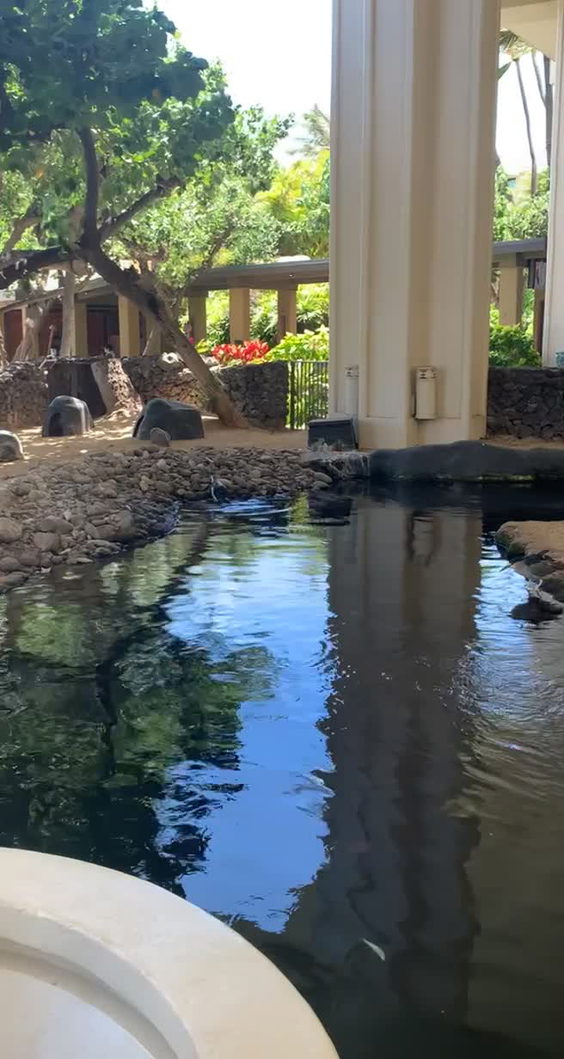 Hyatt Regency Maui Resort And Spa