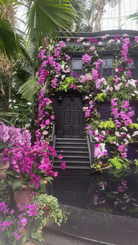 New Amsterdam Royal Botanical Gardens