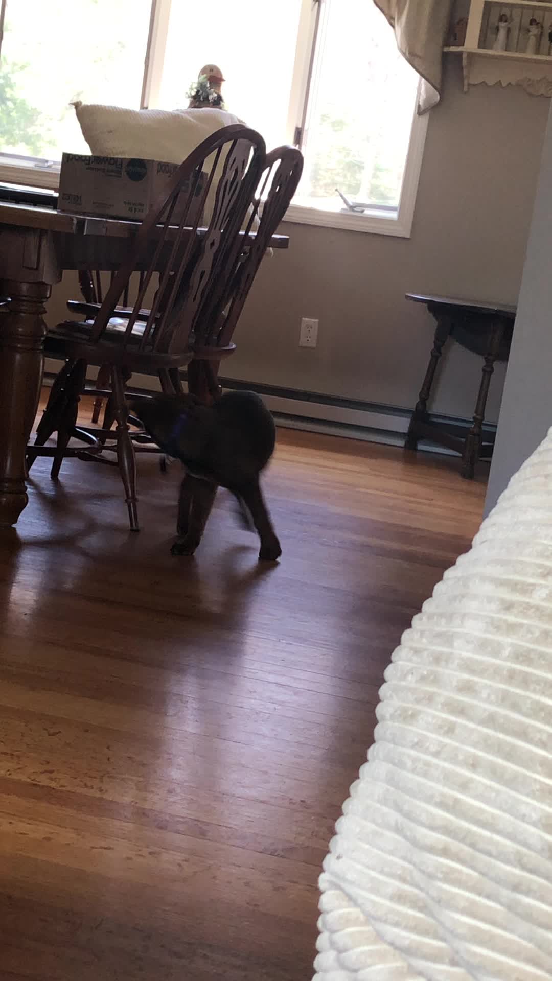 Video review of Red's Tavern