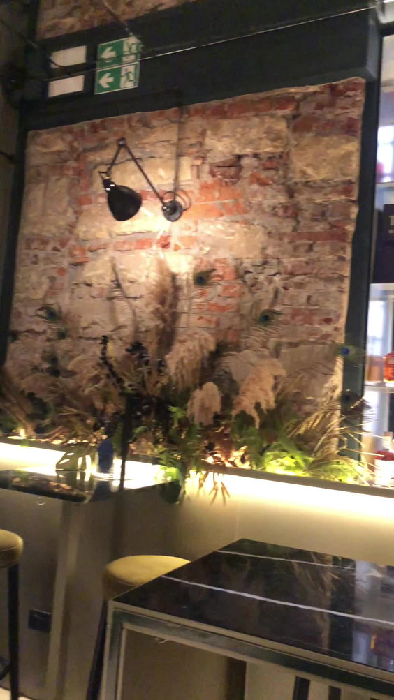 White Monkey | Verona