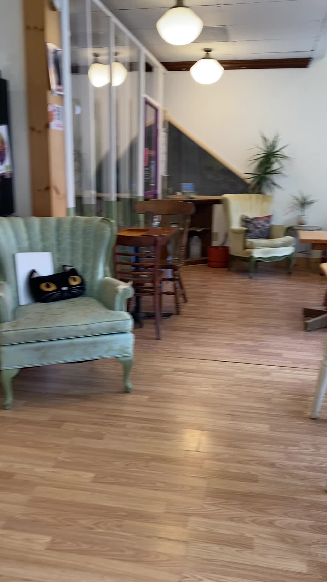 Alley Cat Cafe