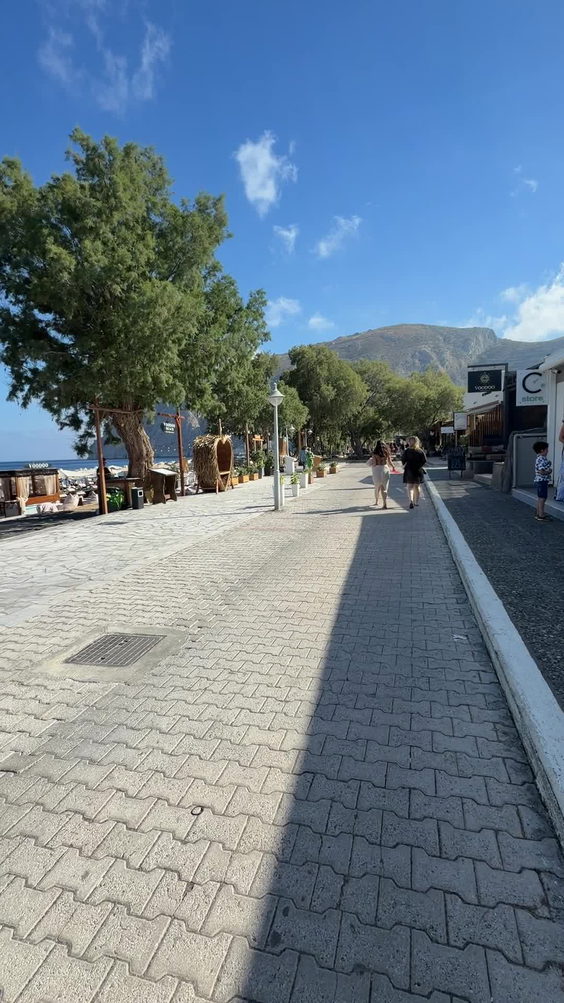 Vassilikos