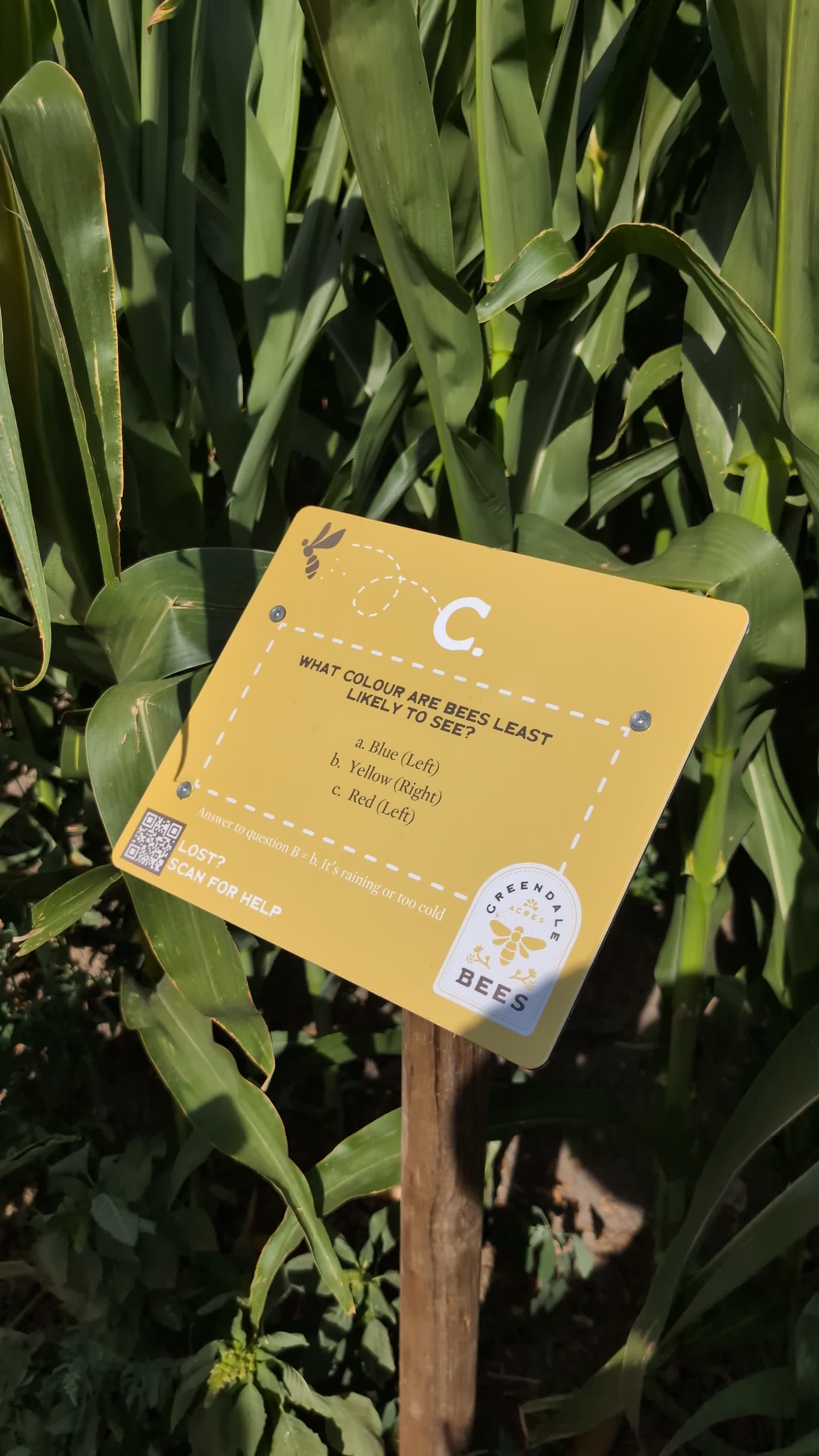 Video review of Richmond Country Farms