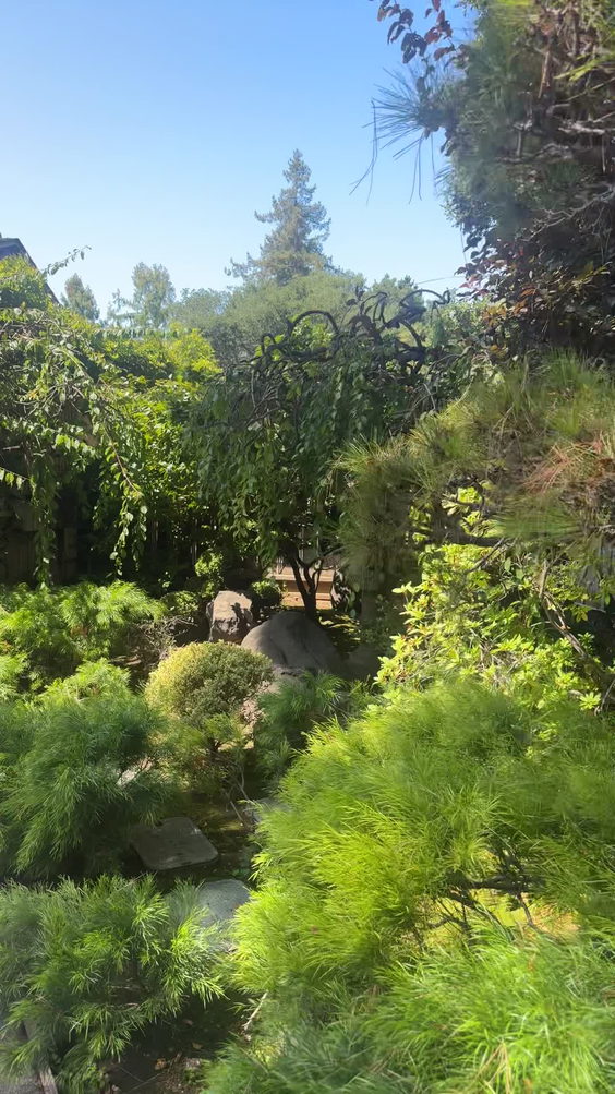 San Mateo Japanese Garden