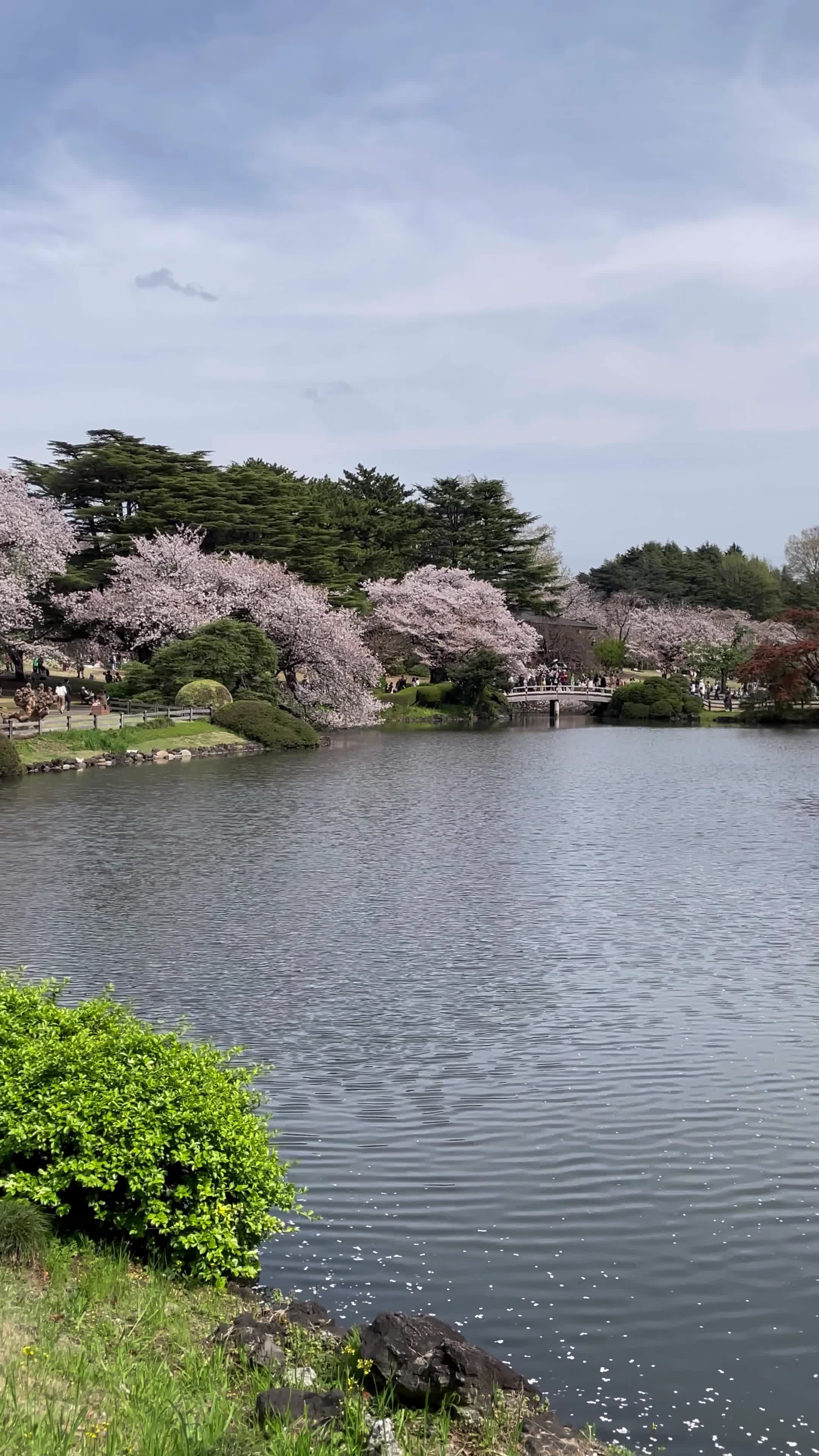Shinjuku Gyoen National Garden