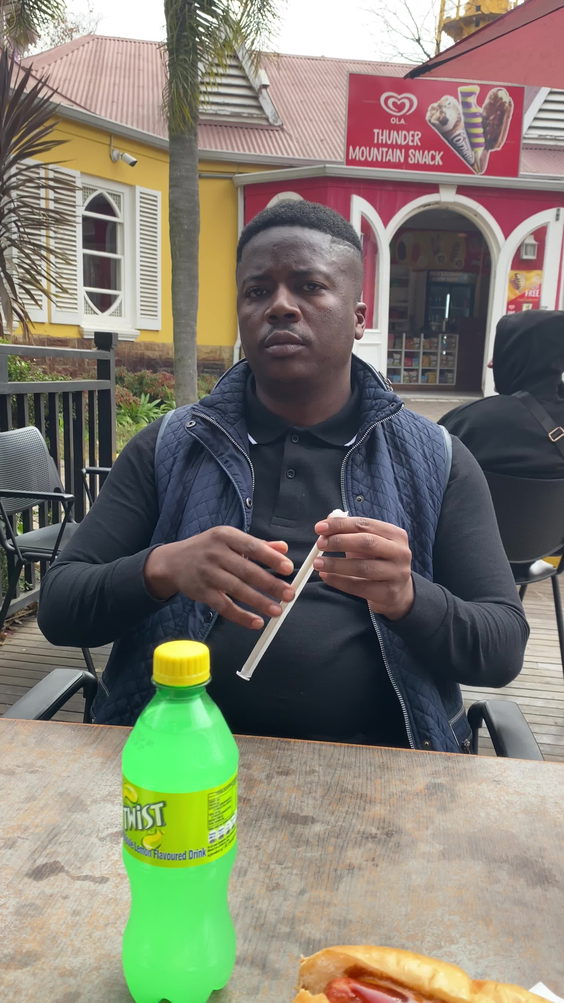 Log Ride, Gold Reef City