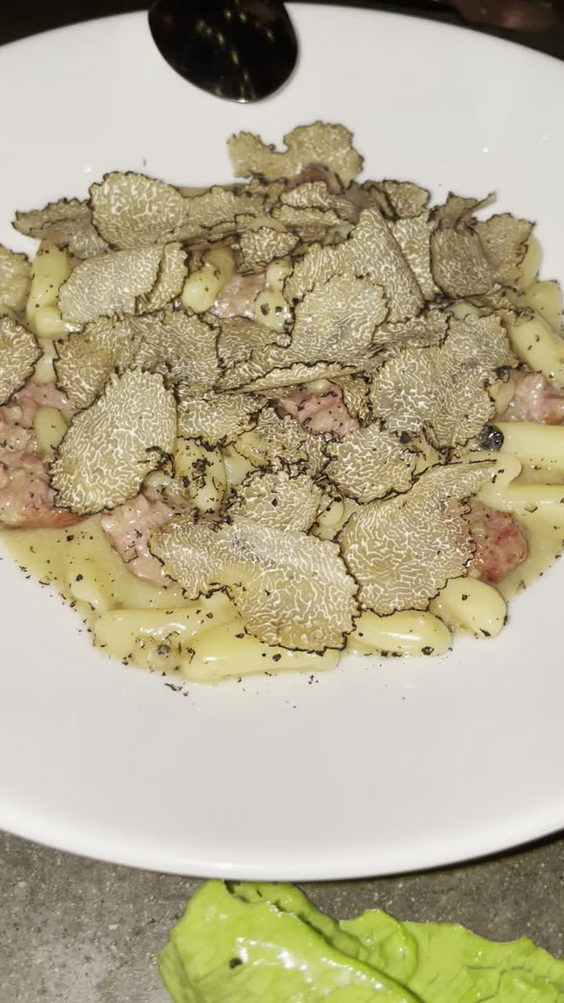 Bestia