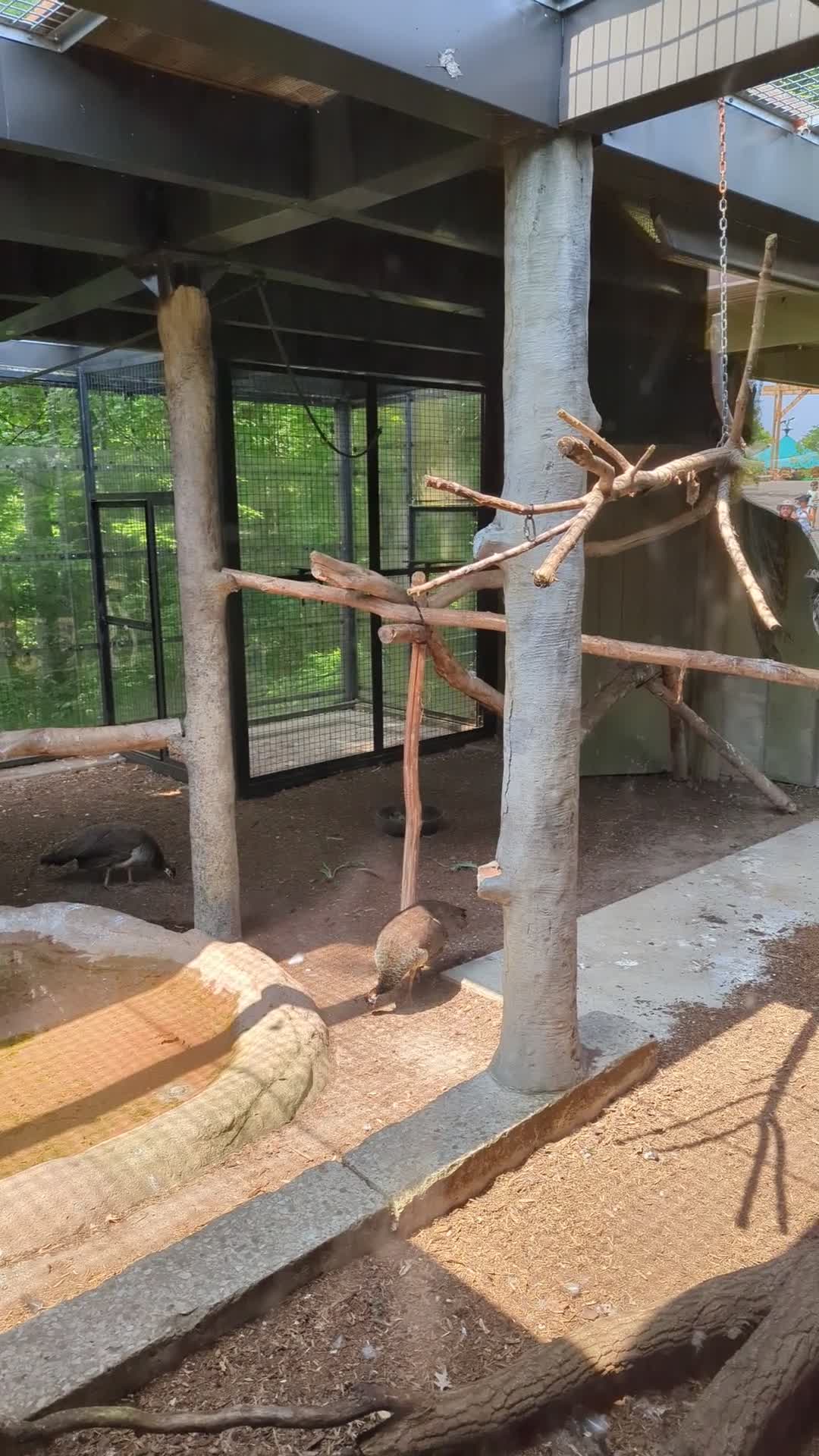 Video review of Toronto Zoo