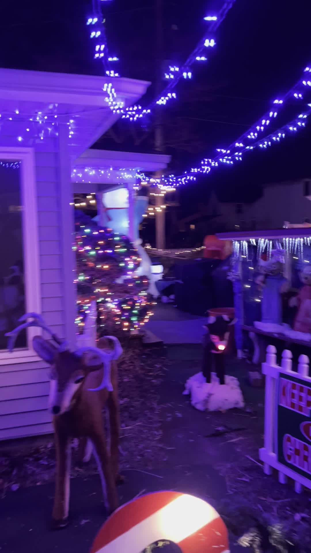 Hagerty Holiday Display