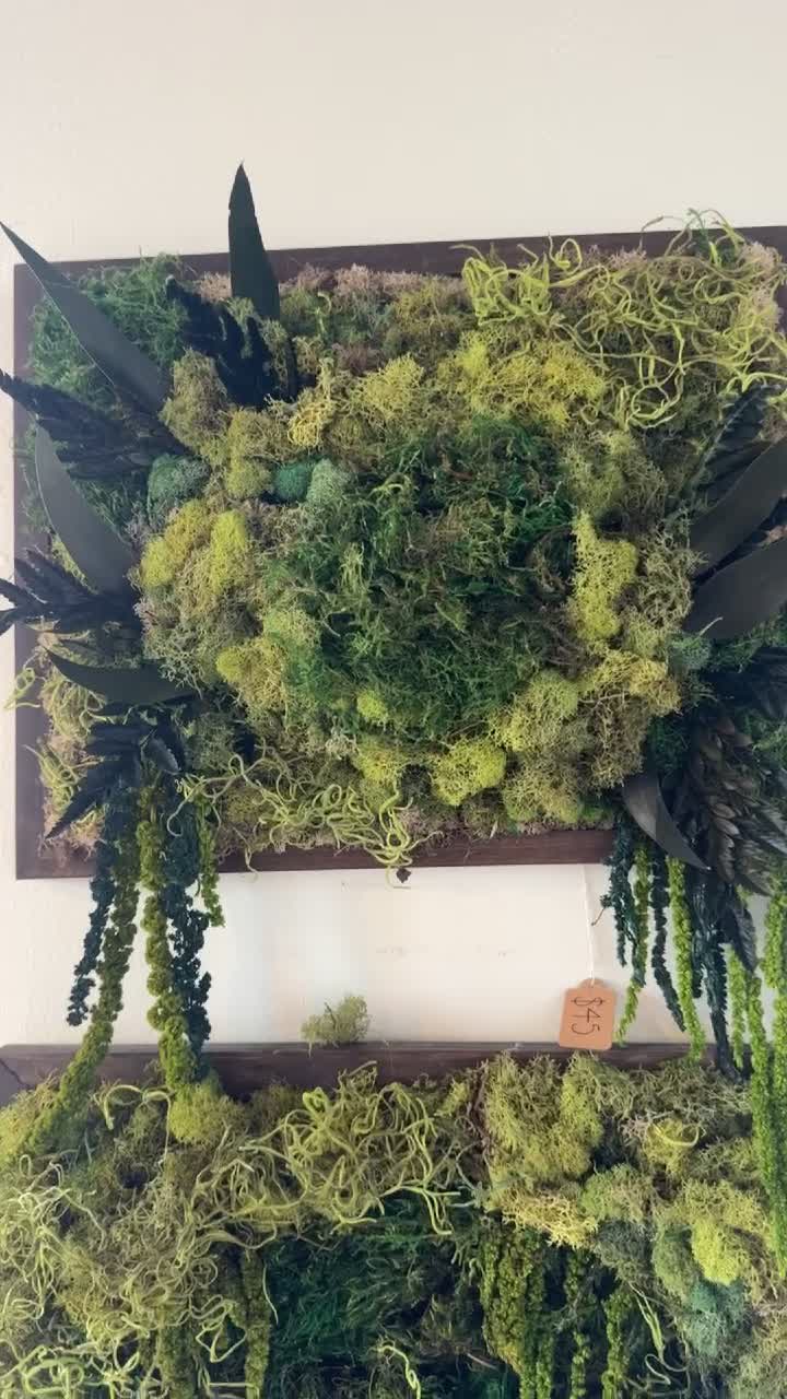 Video review of Magpie Cafe