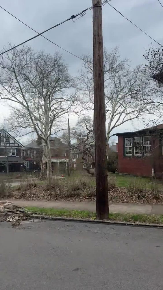 Bryant Street Market