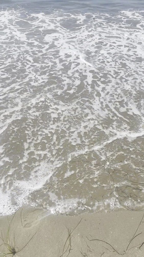 Refugio State Beach