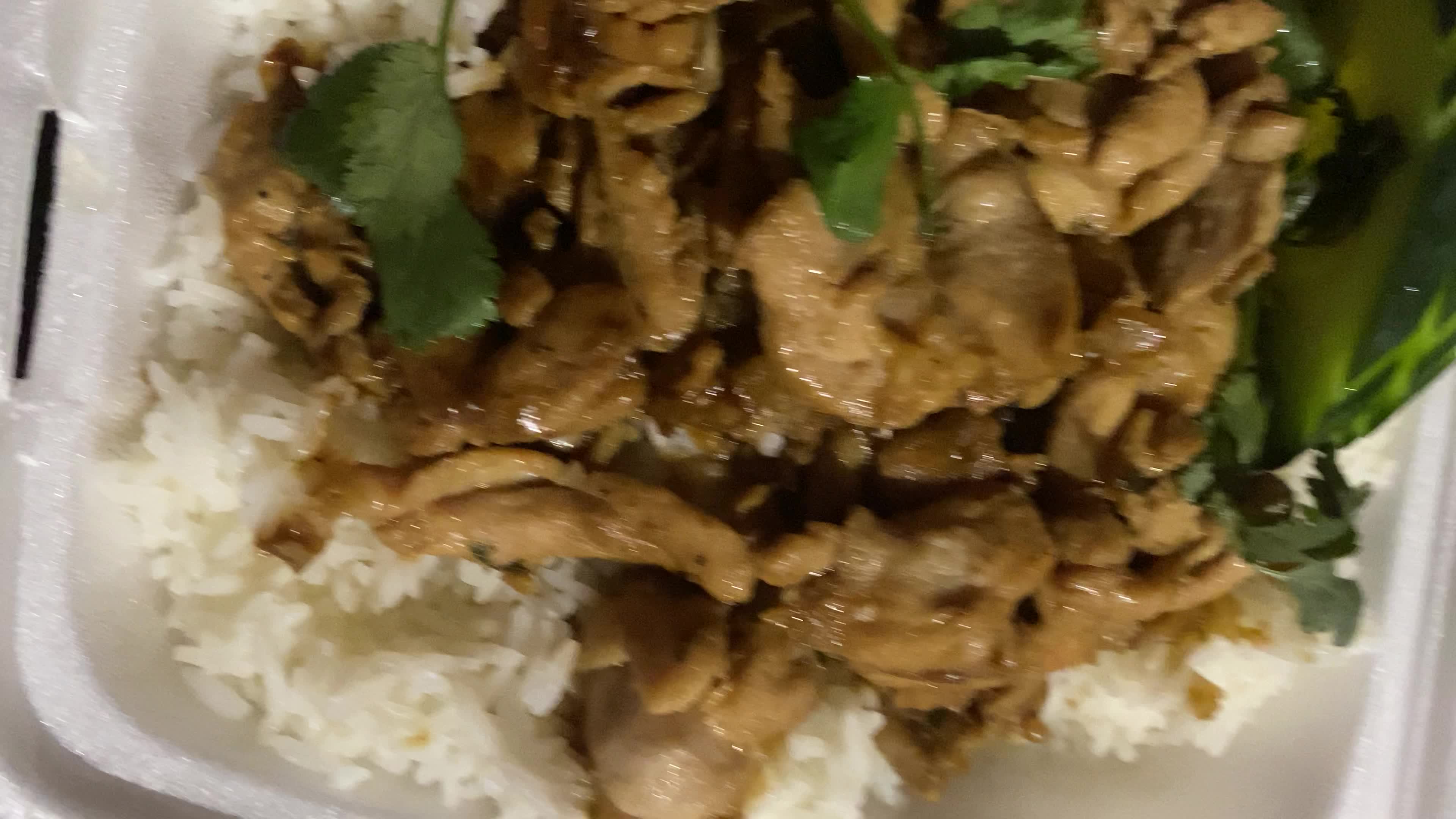 Video review of Noodle World