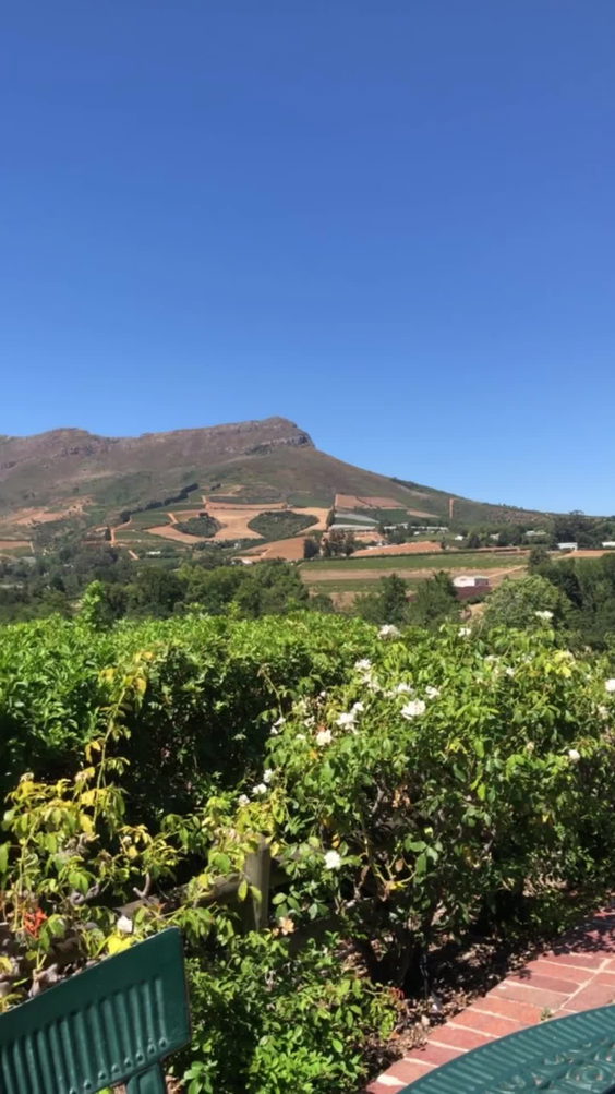 Hillcrest Berry Orchard