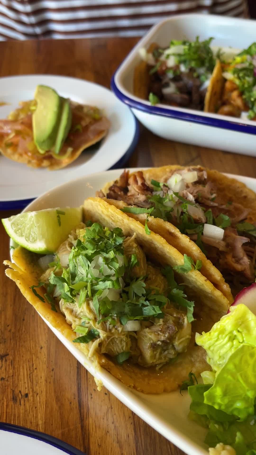 Tacolicious