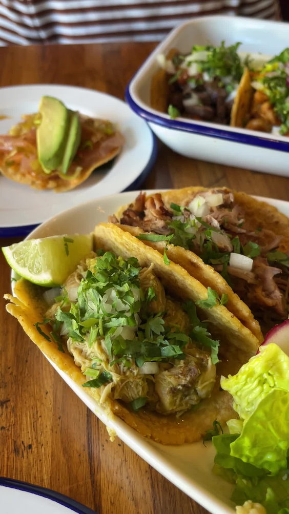 Tacolicious