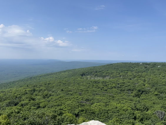 Lenape Steps
