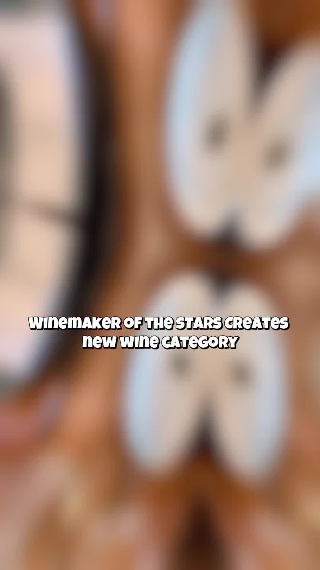 Video review of Zucca