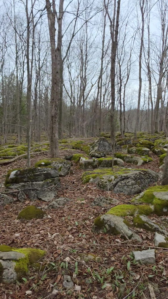 Three Falls Woods