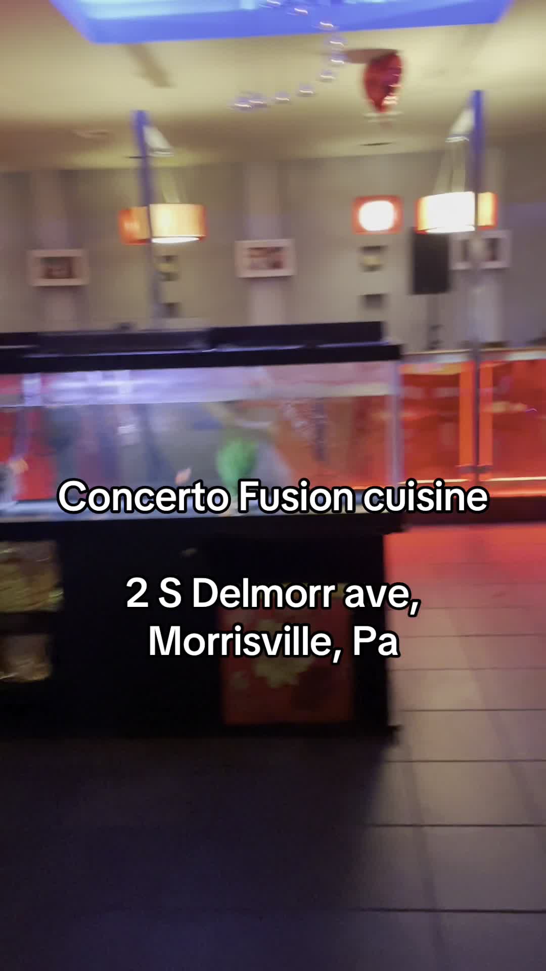 Concerto Fusion Cuisine