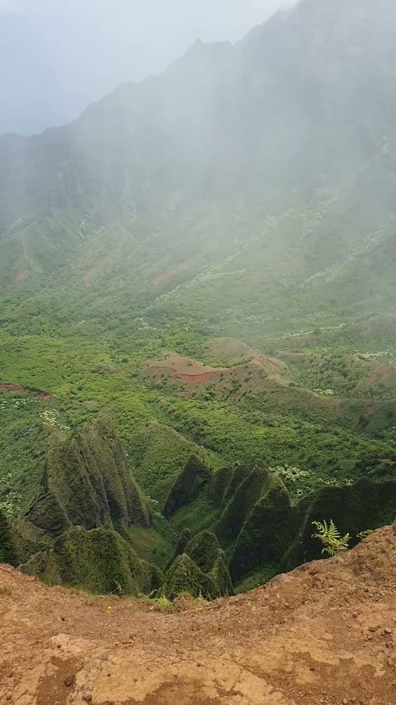 Na Pali Coast Hanalei