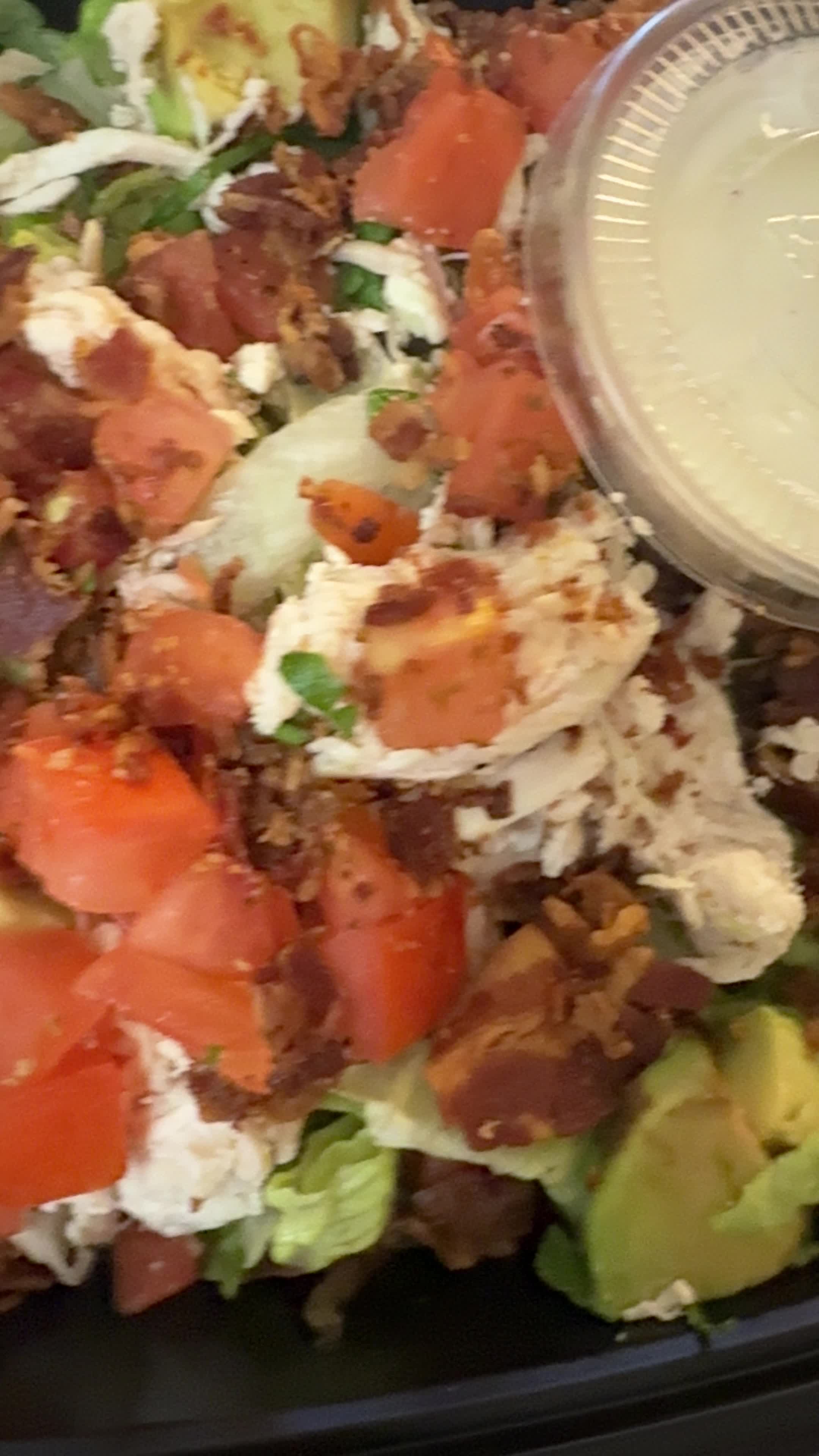 Video review of Lazy Dog Restaurant & Bar