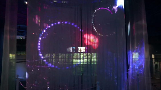 横浜・八景島シーパラダイス (Sea Paradise)