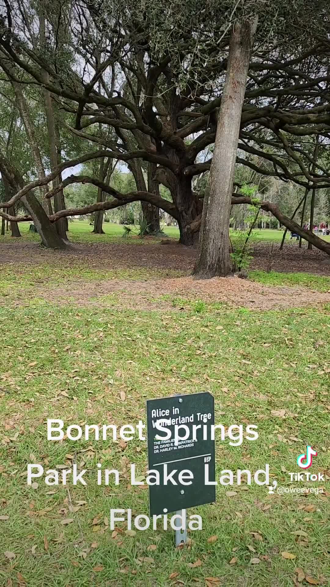 Bonnet Springs Park