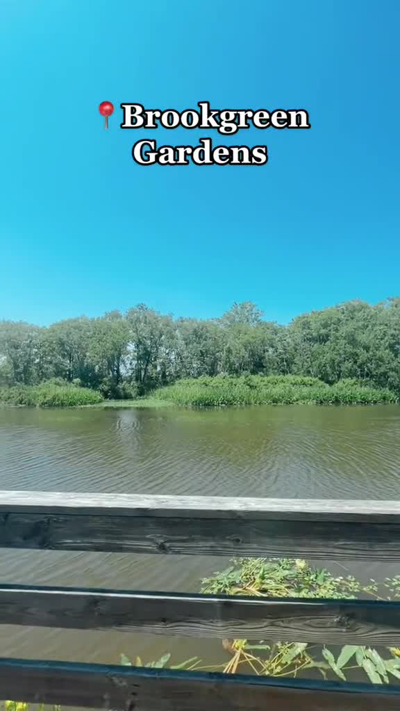 Video review of Brookgreen Gardens