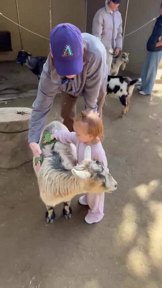 Orange County Zoo