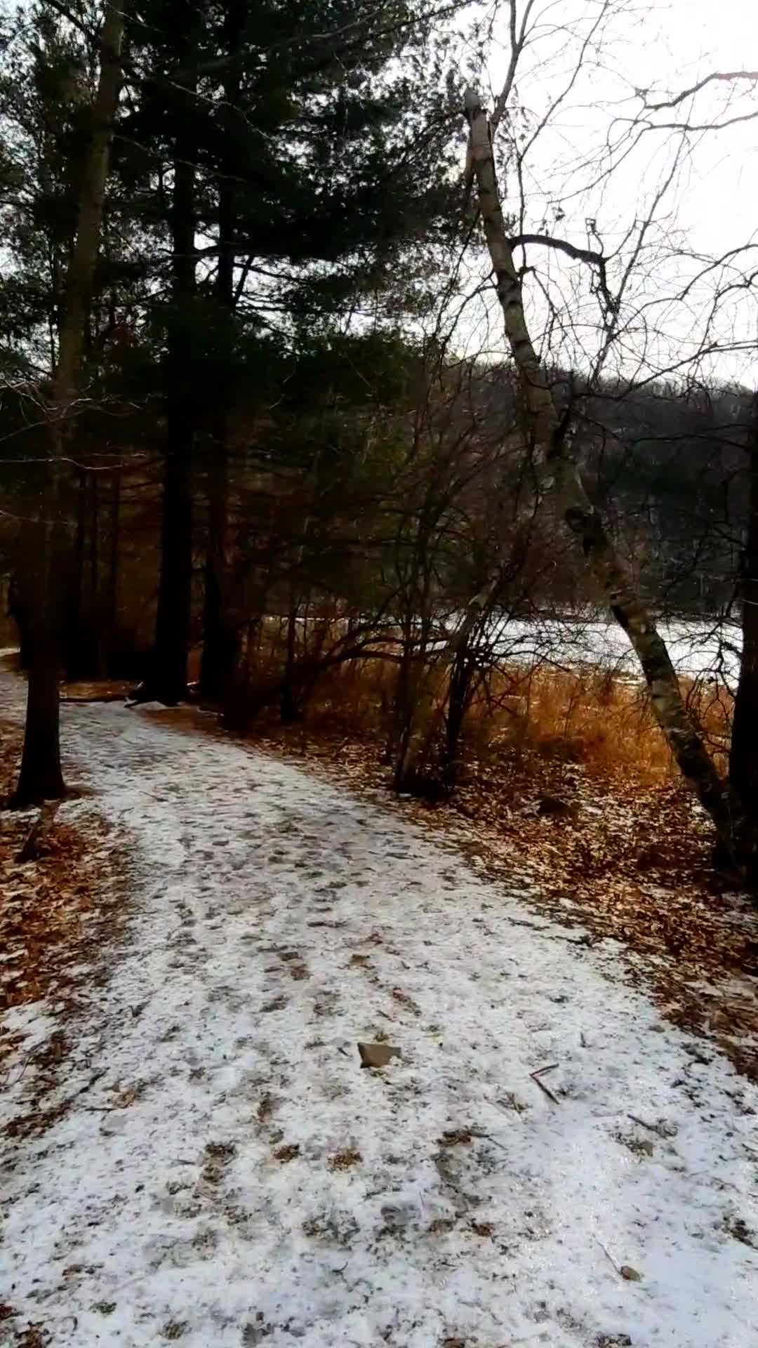Nature Preserve