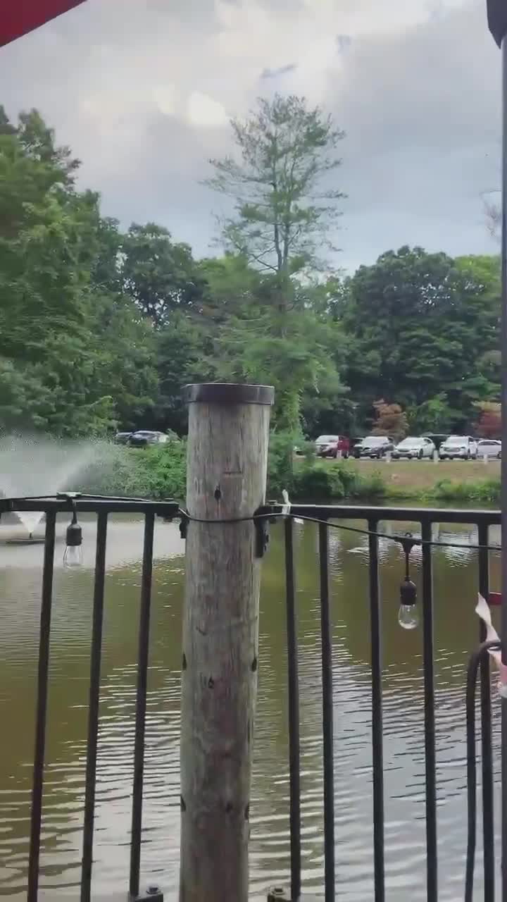 The Mill on the River