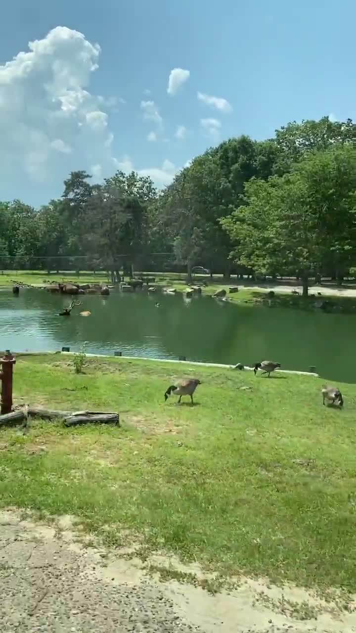 Six Flags Great Adventure