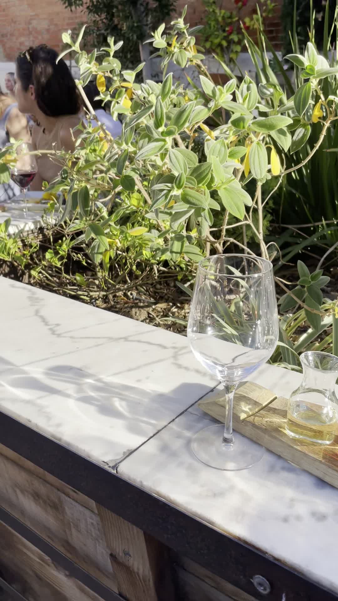 Carruth Cellars Wine Garden