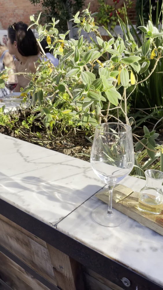 Carruth Cellars Wine Garden