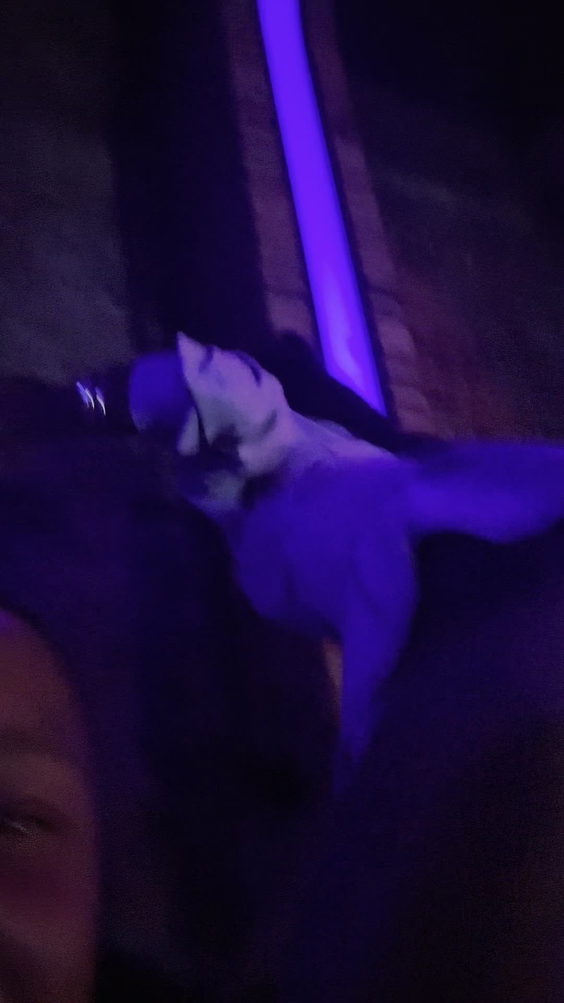 HAN