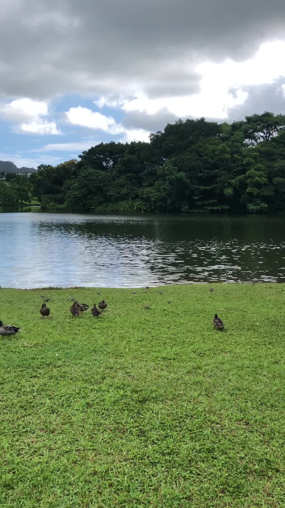 Hoomaluhia Botanical Garden