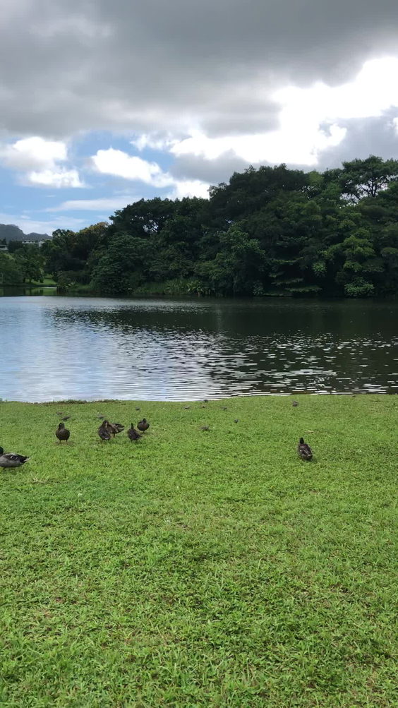 Hoomaluhia Botanical Garden