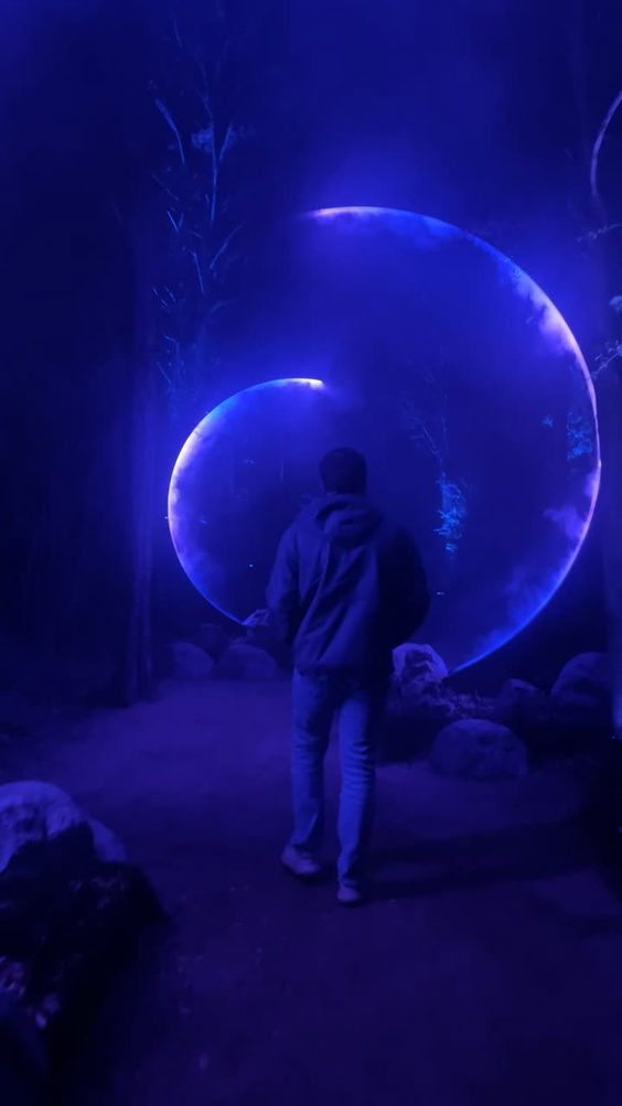 Trinity Forest Adventure Park