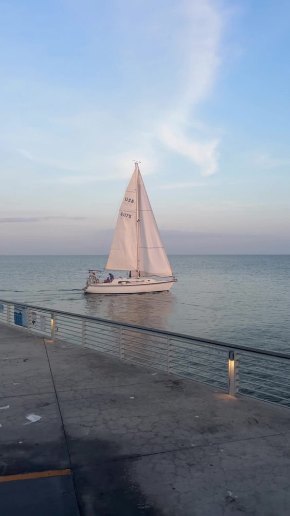 Teak St Pete