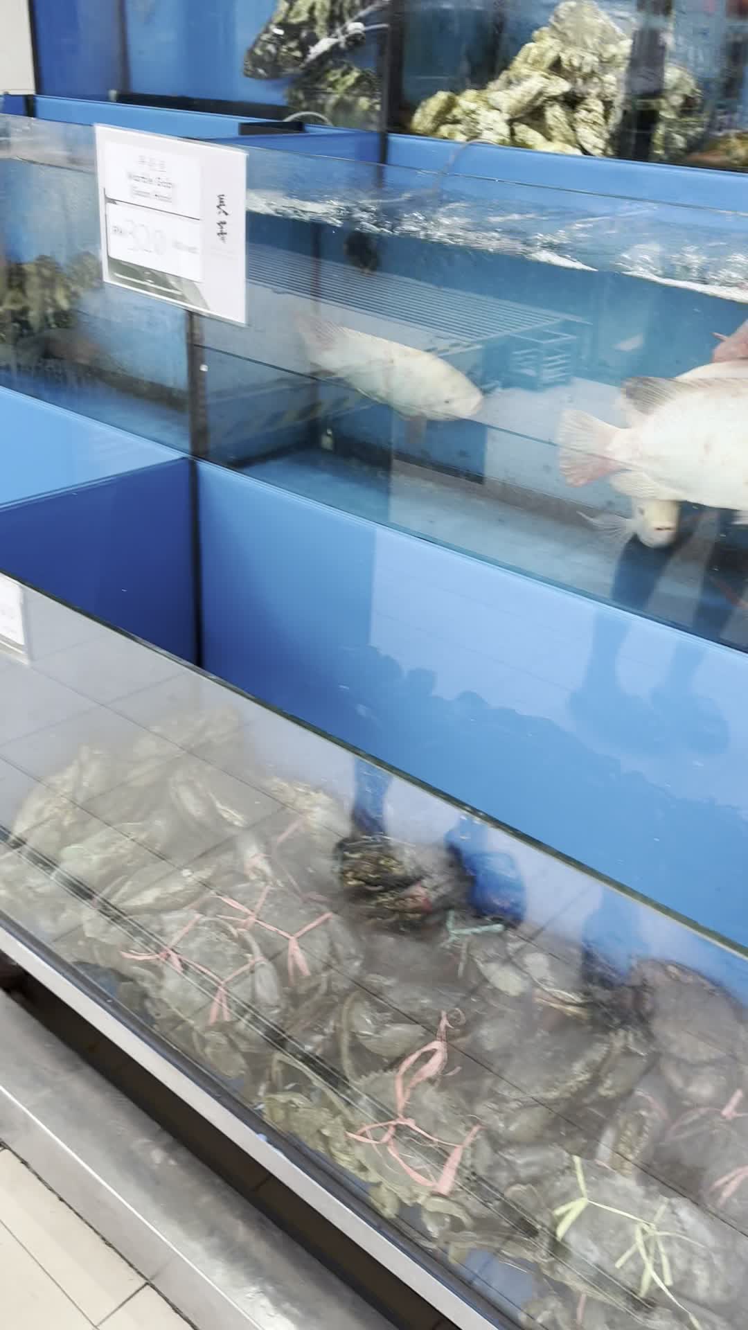 Top Seafood