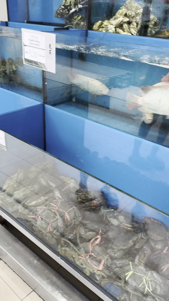 Top Seafood