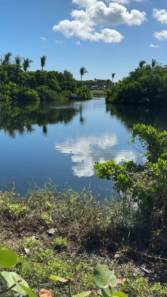 The Ocean Club, A Four Seasons Resort, Bahamas