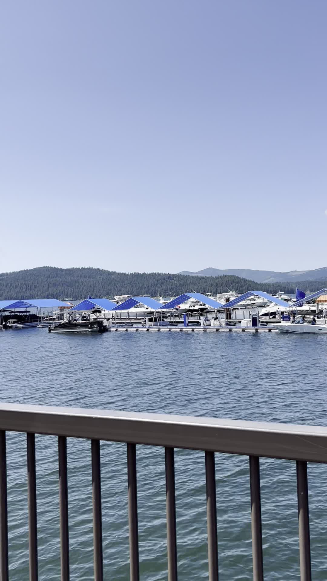 The Coeur d'Alene