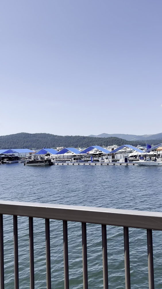 The Coeur d'Alene