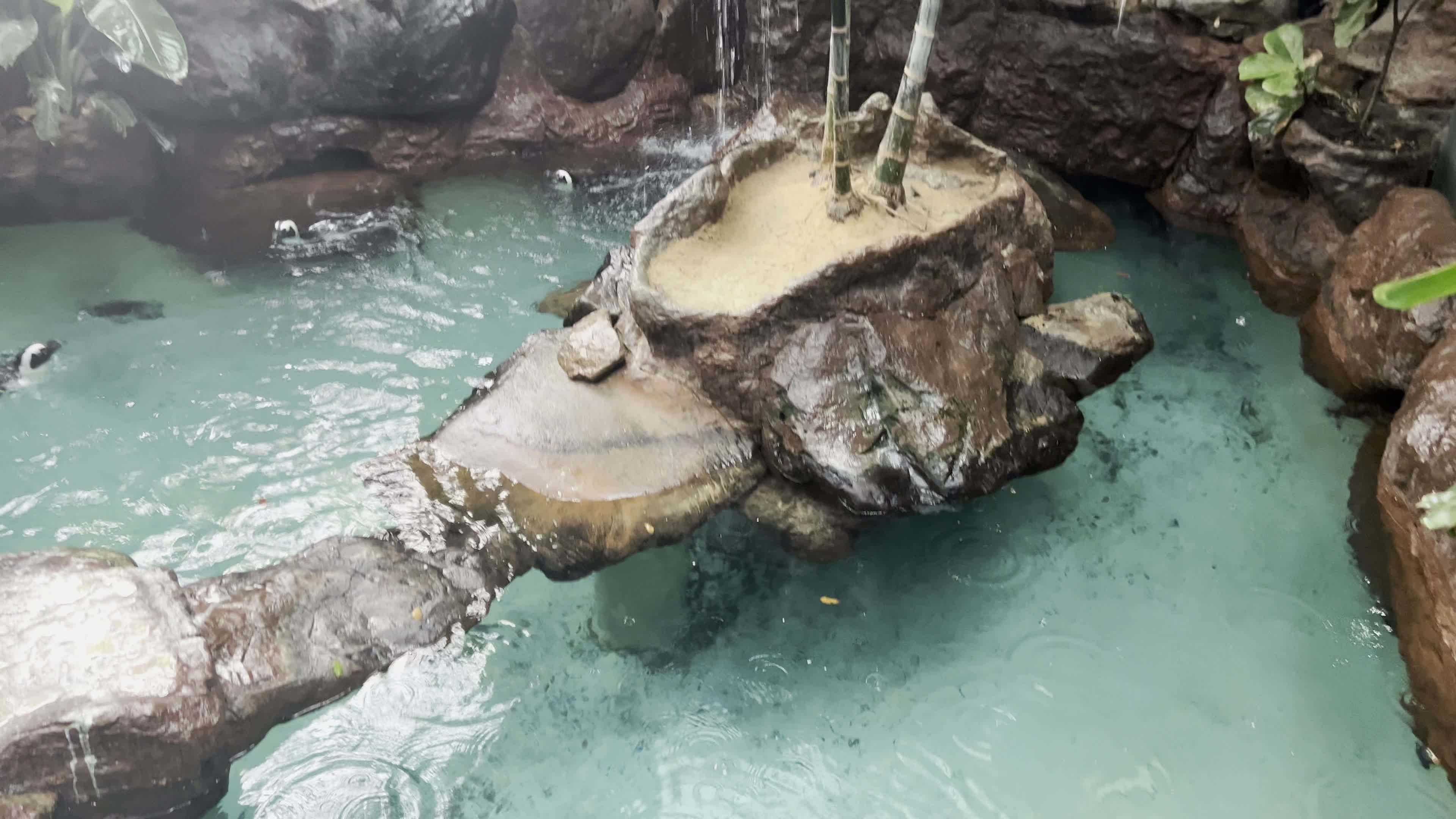 Video review of Dallas World Aquarium