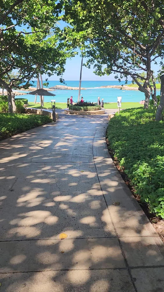 Honu Lagoon